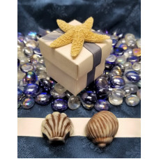 Shells Decorated Wedding Favor Truffle Box